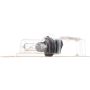 Philips 9005XSB1 Philips Standard Headlight 9005XS