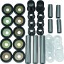 QuadBoss 413573 2007 Suzuki LT-A450X KingQuad 4x4 AXi (2) Repair Kit Rear Independent Suspension Repair Kit
