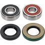 Pivot Works 25-1742-P Yamaha Wheel Bearing Kit Premium Bearings