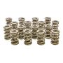PAC RACING SPRINGS PACPAC-1351-16 1.667 Triple Valve Springs - (16)