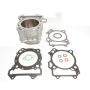 Athena EC510-001 Std Bore Cylinder Kits