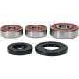 Pivot Works 25-1304-P Honda Wheel Bearing Kit Premium Bearings