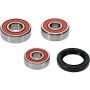 Pivot Works 25-1793-P Honda Wheel Bearing Kit Premium Bearings