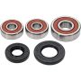 Pivot Works 25-1304-P Honda Wheel Bearing Kit Premium Bearings