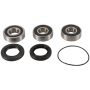 Pivot Works PWRWS-H04-000 95-96 Honda CBR600F3 PW Rear Wheel Bearing Kit