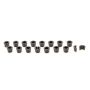 PAC RACING SPRINGS PACPAC-L8035-16 11/32 Valve Lock Set - 8 Degree Steel