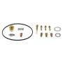 All Balls Racing 26-1884 86-88 Yamaha Enticer 340 Carburetor Rebuild Kit