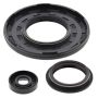 Vertex Pistons 55217 Vertex Gaskets 05-10 Ski-Doo Expedition 600 HO/TUV/SDI Oil Seal Kit