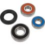 Pivot Works 25-1607-P Suzuki Wheel Bearing Kit Premium Bearings