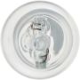 Philips 922LLB2 Philips LongerLife Miniature 922LL