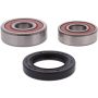 Pivot Works 25-1583-P Honda Wheel Bearing Kit Premium Bearings