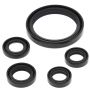 Vertex Pistons 822350 Vertex Gaskets 09-23 Yamaha YFZ450R Oil Seal Kit