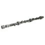 Ajusa 93031800 Camshaft