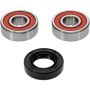 Pivot Works 25-1645-P Honda, Suzuki Wheel Bearing Kit Premium Bearings