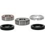 Pivot Works 25-1241-P Honda Wheel Bearing Kit Premium Bearings