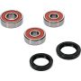 Pivot Works 25-1600-P Wheel Bearing Kit