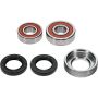 Pivot Works 25-1214-P Wheel Bearing Kit