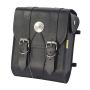 Willie & Max 58451-00 Universal Deluxe Sissy Bar Bag (8 in L x 10 in W x 4.5 in H) - Black