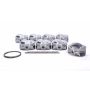 Wiseco K0006B100 Piston Set, Chevrolet, Big Block, 4.600 in. Bore, Professional, Set of 8