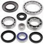 All Balls Racing 25-2041 98-01 Arctic Cat 400 2x4 Differential Bearing & Seal Kit Rear