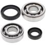 All Balls Racing 24-1013 86-88 Suzuki RM80 Crank Shaft Bearing Kit
