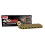 RK Chain GB420MXZ4-100FT GB420MXZ4-100FT - Gold
