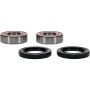 Pivot Works 25-1738-P Can-Am Wheel Bearing Kit Premium Bearings
