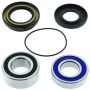 QuadBoss 413483 02-14 Suzuki LT-F250 Ozark Rear ATV Wheel Bearing & Seal Kit