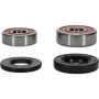 Pivot Works 25-1171-P Kawasaki, Yamaha Wheel Bearing Kit Premium Bearings