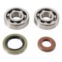 Hot Rods K064 2009 KTM 65 XC 65cc Main Bearing & Seal Kit