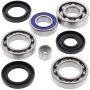 All Balls Racing 25-2043 2002 Arctic Cat 375 2x4 w/AT Differential Bearing & Seal Kit Rear