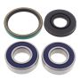 All Balls Racing 14-1016 1987 Ski-Doo Citation Drive Shaft Bearing & Seal Kit Lower Shaft - Track