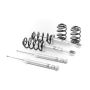 H&R 31051-1 98-05 Volkswagen Passat Sedan 1.8T/2.0L Sport Cup Kit