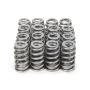PAC RACING SPRINGS PACPAC-1217X-16 Beehive RPM Series Valve Springs Ford 5.0L Coyote