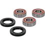 Pivot Works 25-1271-P Wheel Bearing Kit