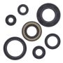 Vertex Pistons 822153 Vertex Gaskets 88-06 Yamaha YFS200 Blaster Oil Seal Kit