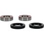 Pivot Works 25-1569-P Aprilia, BMW, Cagiva, Moto_Guzzi Wheel Bearing Kit Premium Bearings