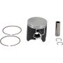 Vertex Pistons 24244C Vertex Piston 2024 KTM 300 EXC 300cc Cast Replica Piston Kit