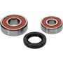 Pivot Works 25-1326-P Suzuki Wheel Bearing Kit Premium Bearings