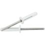 ALLSTAR PERFORMANCE ALL18185 Md Hd Rivet 250Pk Silver Flange Type St Mandrel