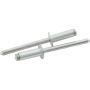 ALLSTAR PERFORMANCE ALL18109 Sm Hd Rivet Silver 250pk