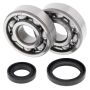 All Balls Racing 24-1016 89-08 Suzuki RM125 Crank Shaft Bearing Kit