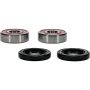 Pivot Works 25-1640-P Honda, Yamaha Wheel Bearing Kit Premium Bearings