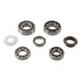 Hot Rods TBK0111 15-17 KTM 250 SX-F Factory 250cc Transmission Bearing Kit