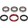 Pivot Works 25-1250-P Wheel Bearing Kit