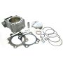 Athena P400210100020 Std Bore Cylinder Kits