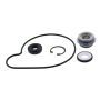 Vertex Pistons 721262 Vertex Gaskets 01-02 Arctic Cat Mountain Cat 800 Water Pump Rebuild Kit