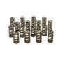 PAC RACING SPRINGS PACPAC-1214-16 1.061 Valve Springs - Ovate Beehive (16)