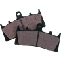 BikeMaster 961109 Kawasaki Brake Pads