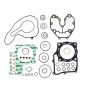 Athena P400210850172 Complete Gasket Kits
